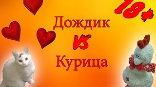 ШОК! Спаривание кота и курицы))