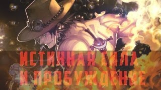 ИСТИННАЯ СИЛА ЭЙСА|ЭЙС СИЛЬНЕЕ ДОФЛАМИНОГО?|ПРОБУЖДЕНИЕ ФРУКТА МЕРА-МЕРА|ВАН ПИС ТЕОРИЯ