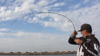 Panfishing Techniques - IF