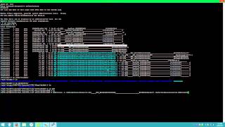 How to Mount Physical Hard Drives in VMWare vSphere Hypervisor - ESXi 5.5 - SATA