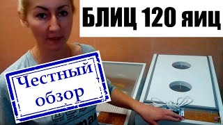 Инкубатор Блиц Норма 120 С8: обзор инкубаторов Блиц Парка. Блиц - хороший, недорогой автоматический