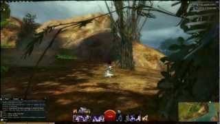 Guild Wars 2 - Sparkfly Fen Vistas