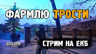Stalker Online [ Stay Out ]. Фармлю трости. Стрим на ЕКБ сервере.