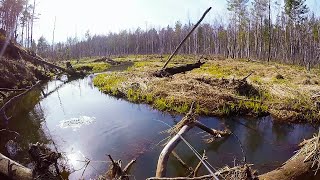Первая рыбалка сезона и сразу трофей! Щука весной на малых реках .Рыбалка на спиннинг