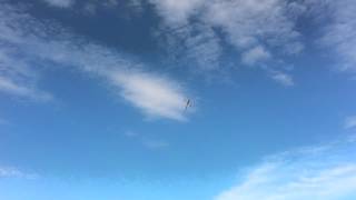 Align T-Rex 550e 3GX DFC - Seaview Rotary Wings Fun Fly