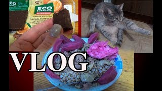 VLOG: муж похудел без ПП, что едим, опять подарок. Жизнь в деревне. Семья Теклиных.