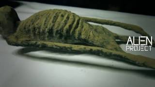 Alien Project Un nouvel artefact biologique - Momie Alien de 38 cm (Pérou 2016)
