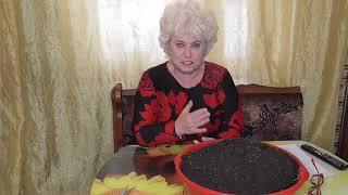 Предпосевная подготовка грунта. 