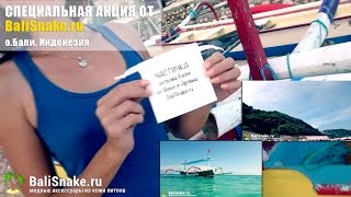 Частичка острова Бали, BaliSnake.ru
