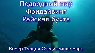 Турция Кемер Подводный мир Фридайвинг Райская бухта