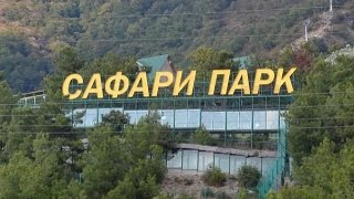 Сафари парк . Геленджик 2016