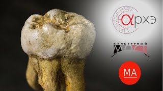 Станислав Дробышевский: Первобытные люди России