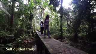 La Selva Amazon Ecolodge & Spa - Ecuadorian Amazon