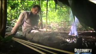 Bear Grylls Man vs Wild | Season 1| Episode 3: Costa Rican Rain Forest