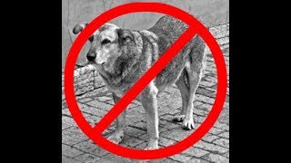 ДОГХАНТЕРЫ НАШЛИ НОВЫЙ СПОСОБ РАССПРАВЫ!!!