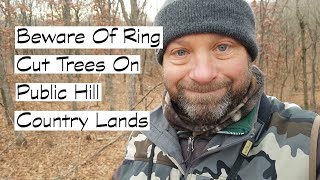 Beware Of Ring Cut Trees On Public Hill Country