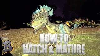 How To Hatch And Mature A Rock Drake! (Aberration) Ark Survival Evolved Ep 19
