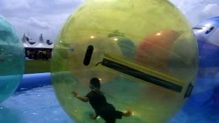 Water ball playful moments