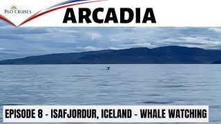 P&O Arcadia - Vlog Episode 8 - Isafjordur - Whale watching
