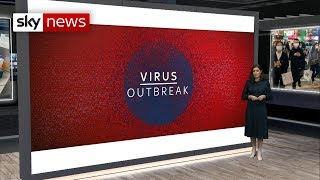 What we know about the coronavirus so far