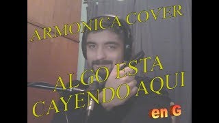 Algo esta cayendo aqui (cover armonica) + tabs