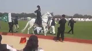 Syed Ali Raza Bukari 
Gohra. Qamar
Neza bazi At Malir Cantt Karachi 2019