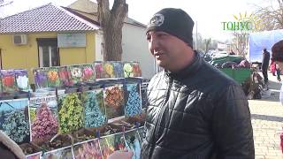 Тонус новости из города Саки 15 марта 2019 г