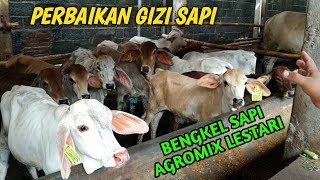 BENGKEL SAPI AGROMIX LESTARI SLEMAN