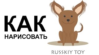 Рисунки собак поэтапно. КАК РИСОВАТЬ СОБАКУ карандашом