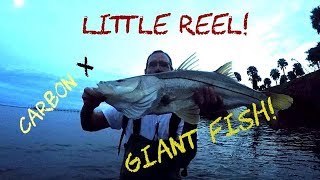 Piscifun Carbon X Saltwater Field Test and Review