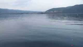 РЫБАЛКА В МОРКВАШАХ ВОЗЛЕ ТЕЛЯЧКИ