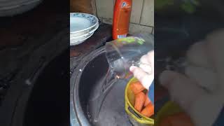 Нигора