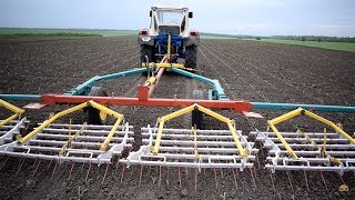 ЮМЗ 6 Т, послевсходовое боронование Кукурузы