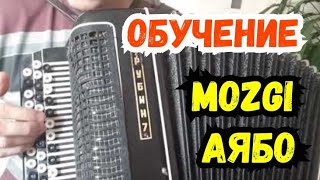 Обучение Mozgi - Аябо На Баяне | Урок Для Новичка | Tutorial Accordion
