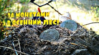 Там где ничего по картам... ? ? ?  | Коп в лесу с Квазар АРМ | #копмонет #копвлесу #квазарарм
