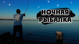 Рыбалка с ночёвкой. Ловля леща на фидер ночью. Костер / Уха / Жареха / Разговоры