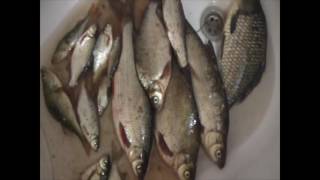 Прикормки HALIBUT SUPER CRUSH и RED HALIBUT SUPER CRUSH.ОБЗОР И РЕКОМЕНДАЦИИ ПО ИСПОЛЬЗОВАНИЮ