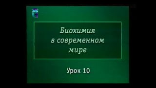 Биохимия. Урок 10. Гормоны