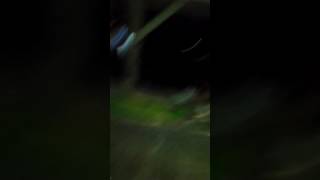 Ngintip tante" mandi