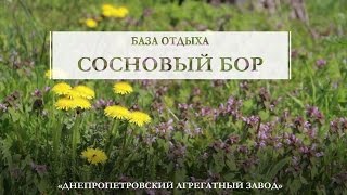 База отдыха  «Сосновый бор» ПАО «ДАЗ»