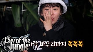 Seul Gi is The Only Peaceful One As Always! [Law of the Jungle Ep 322]