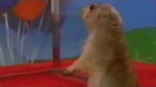 Top 5 - Animais dramaticos / Dramatic animals.