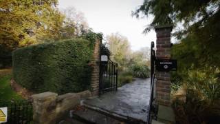 4K: Panasonic GX80 / GX85 4K sample. Short clip shoot in Southwark Park(London) 2016/11/18