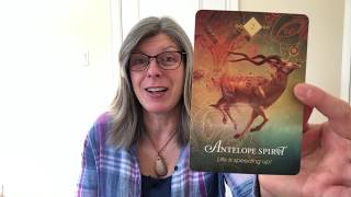 Sagittarius - Pleasant Surprise, Divine Sexy Union!
