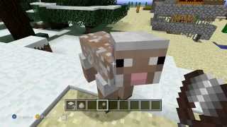 Minecraft How to Shear a Sheep. Funny!