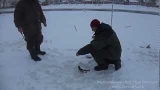 Ловля форели в подмосковье зимой на платнике!