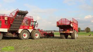 Suikerbieten rooien door loonbedrijf Geertsema met Vervaet Beet Eater 925