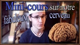 Mini-cours sur notre fabuleux cerveau