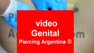 Piercing Genitales Piercing genital femenino Piercing Argentina ®