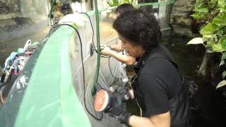 動物園や水族館のアクリル・ポリカ研磨　傷や曇り磨き再生研磨